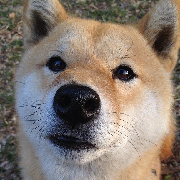 中超边后卫上下插上频次与丢球风险评估，中超后卫外援有哪些