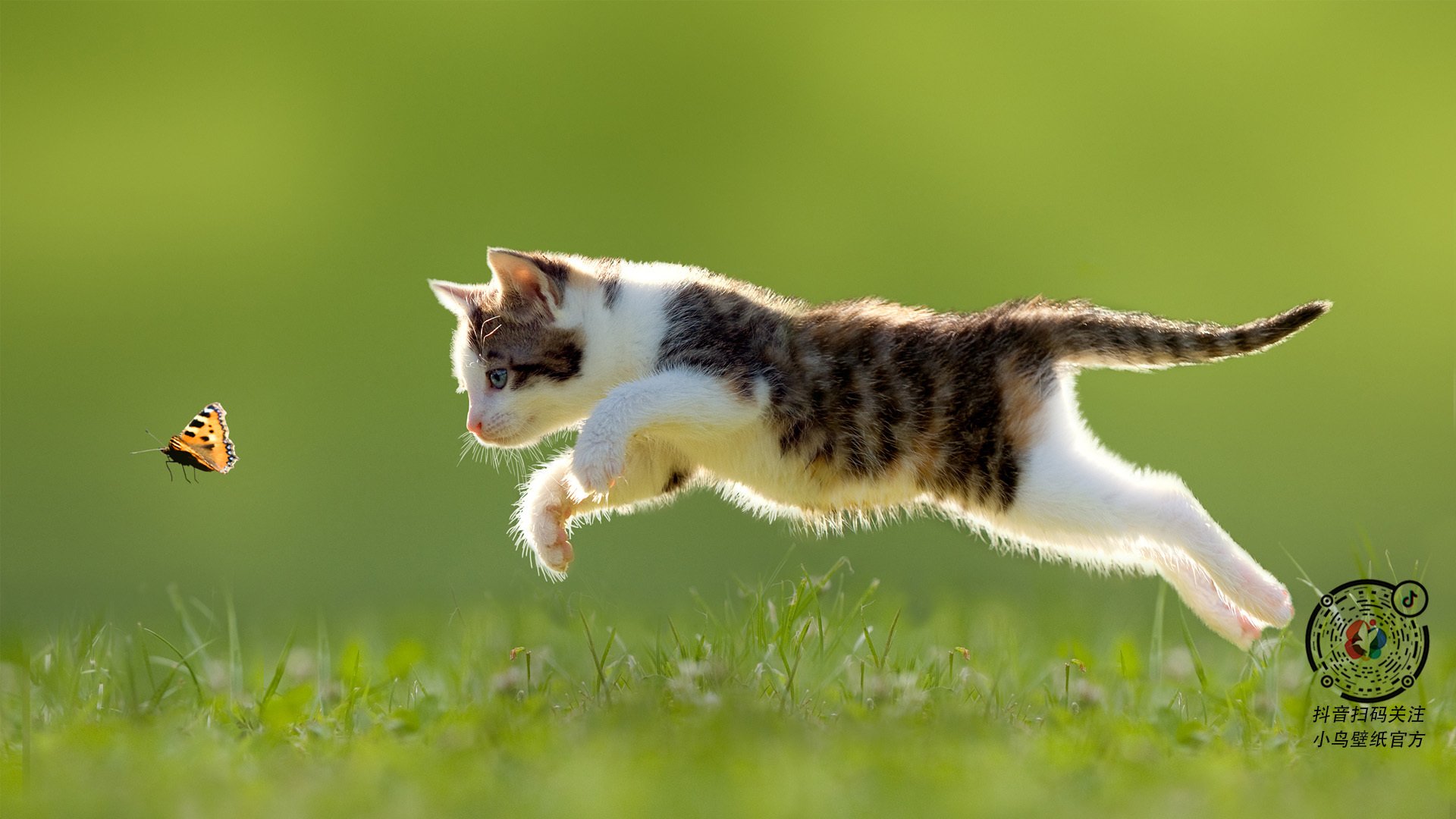 国足年度球员跑动里程与比赛表现评分匹配，国足跑动数据2021