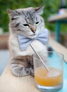 英超球队中场组织策略与防守稳定性相关性分析,英超足球中场休息时间多长