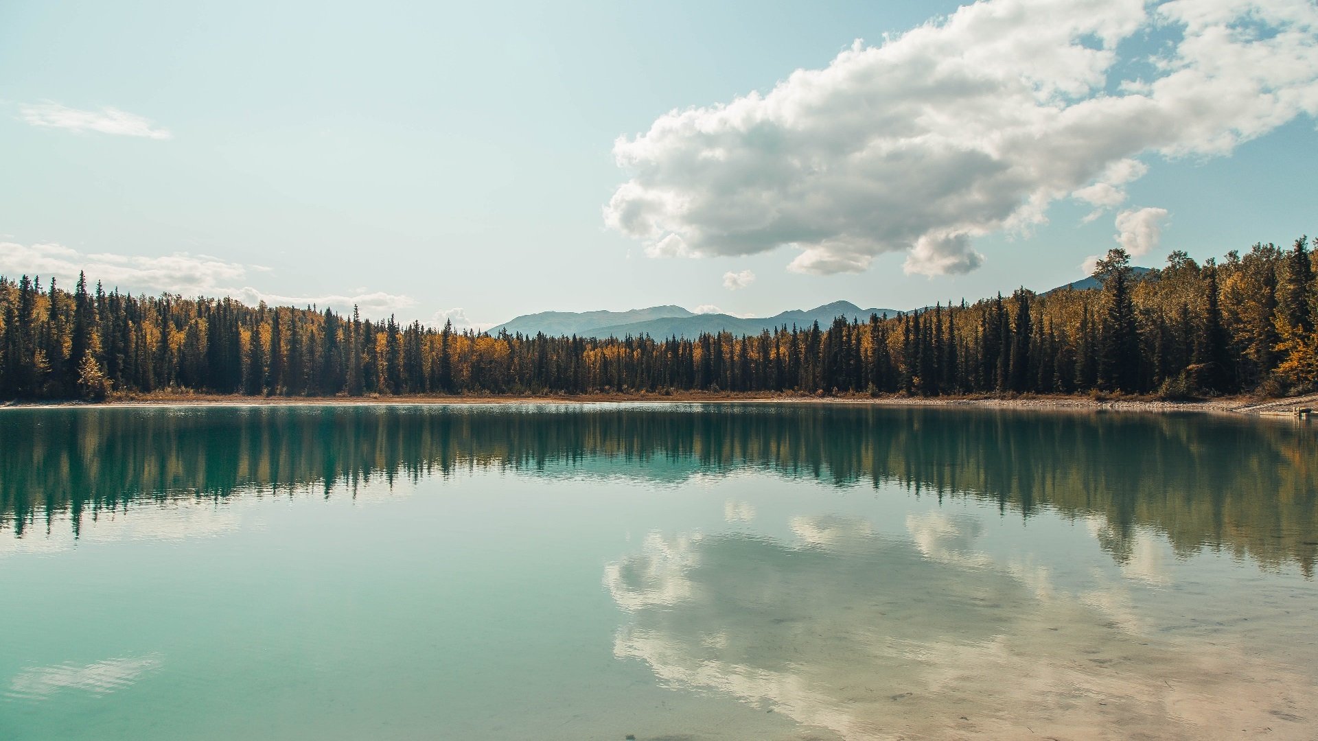 赛季迷你纪录片：讲述最动情的战役幕后故事，迷你战争短片