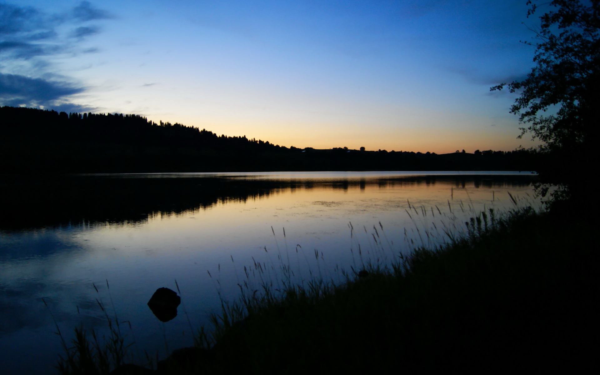 青少年体育社交行为与心理健康关联研究，体育运动对青少年心理健康的影响