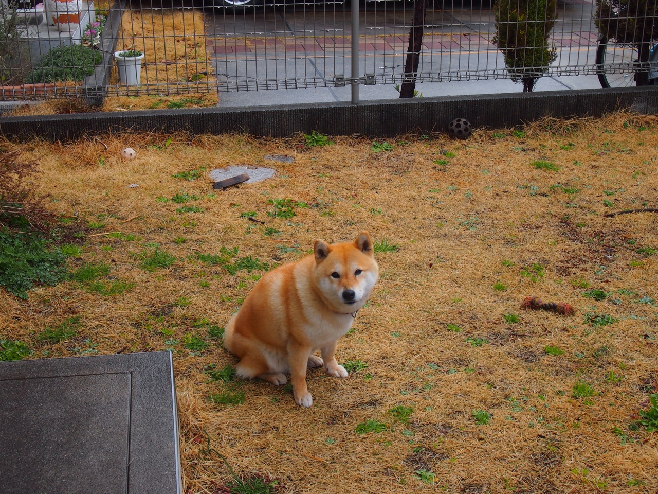 开云体育登录-AC米兰稳守反击策略收效显著，ac米兰被逆转次数