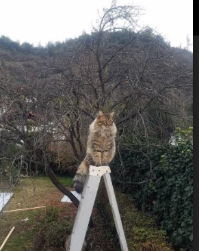 开云体育app下载-“金牛区城北体育馆：运动舞蹈赛，舞者们用汗水编织精彩的节奏”