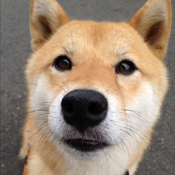 “金牛区城北体育馆：运动舞蹈赛，舞者们用汗水编织精彩的节奏”