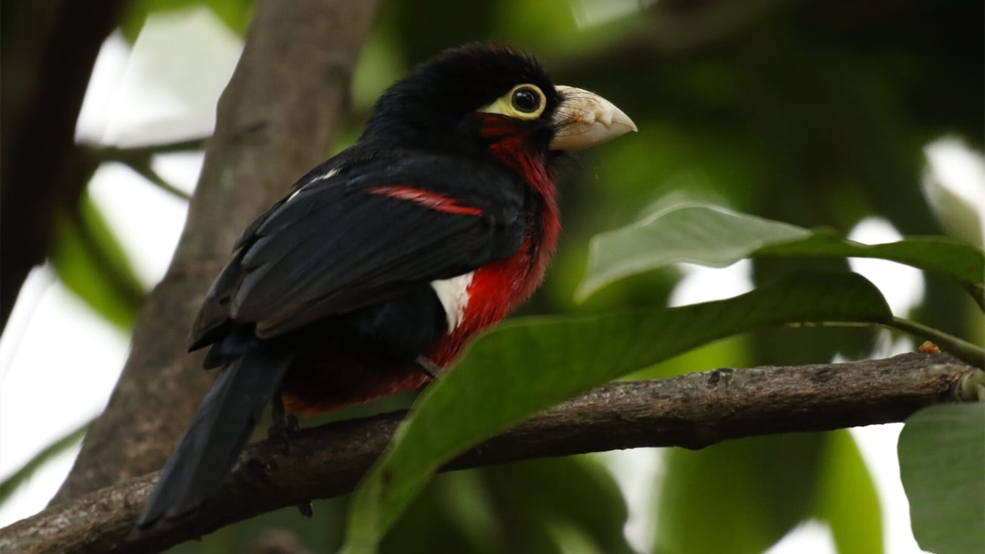 亚洲杯中国足球战败 球迷反思青训体系，足球亚洲杯中国队赛程表