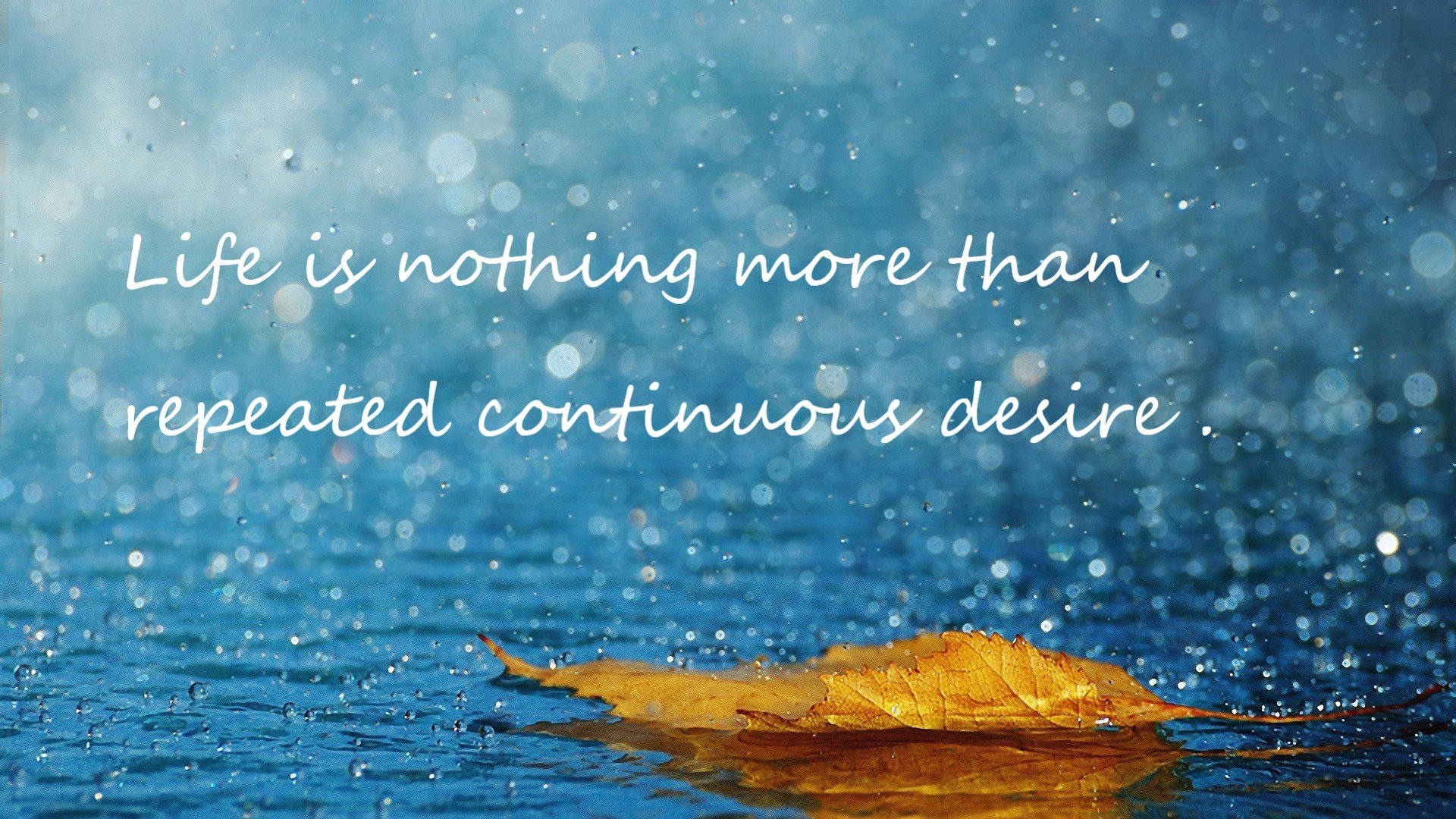 体操世界杯中国队喜迎开门红，艺术体操世界杯中国