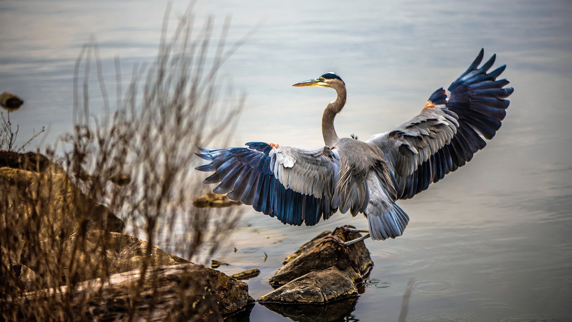 体育新闻中心构建体育赛事多语言传播平台，体育赛事的新闻报道