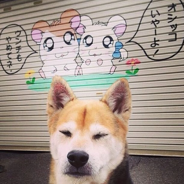 开云官网-球队心理建设体系能否帮助保级球队完成绝地反击，球员心态