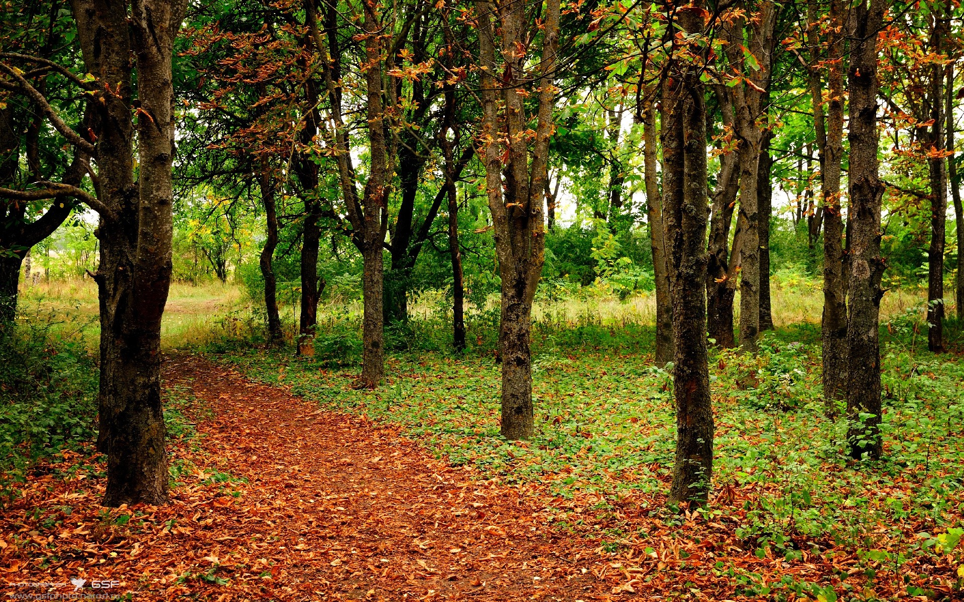 赛场心理素质好，抗压能力强，你心理素质抗压能力表情包