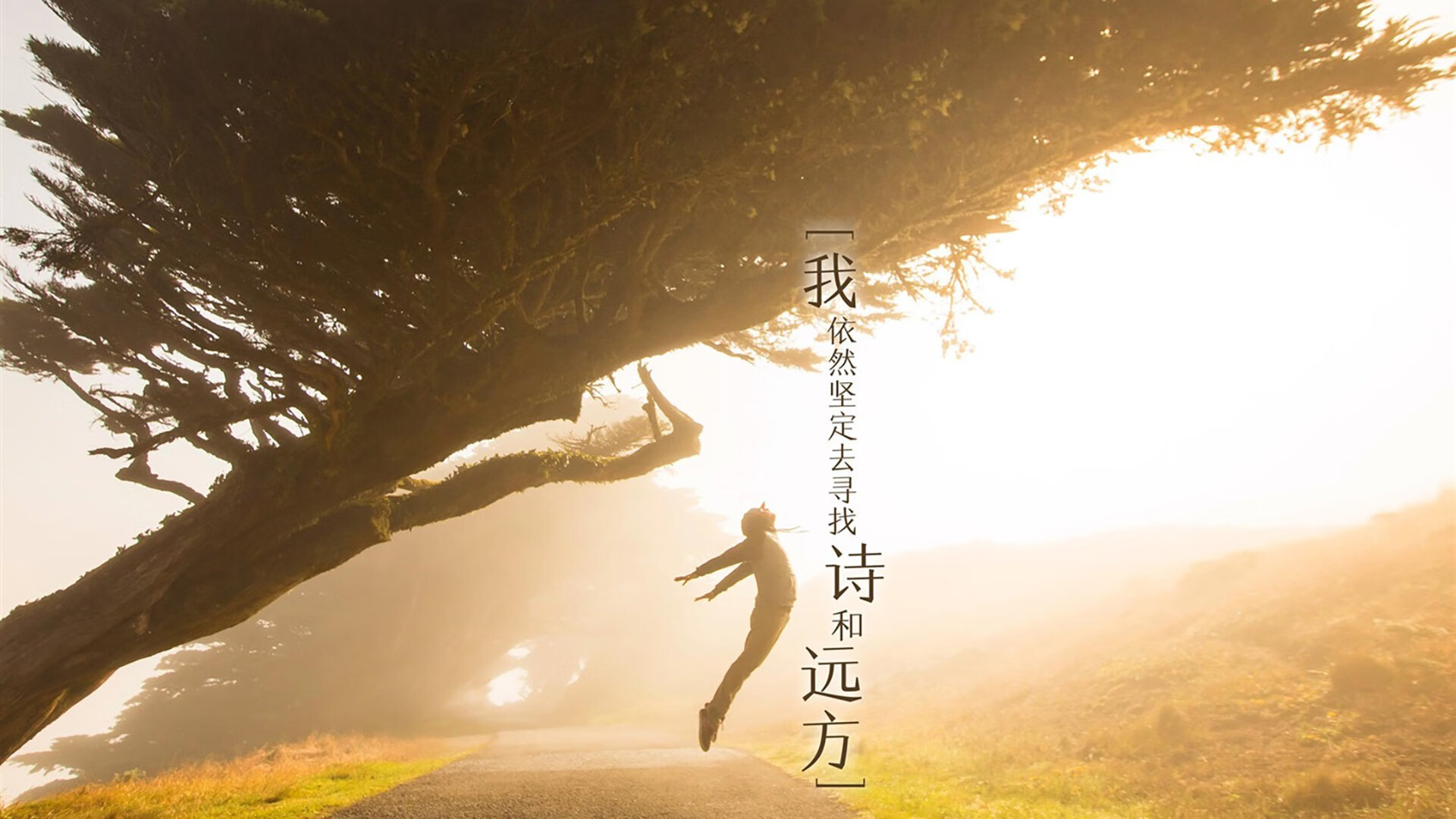 开云体育官网上-德克斯赛场风采尽显未来潜力，德克斯户外运动公司