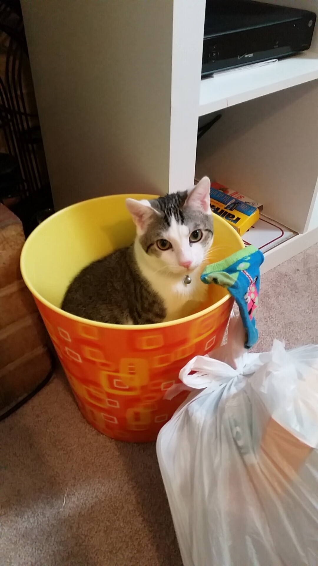 曹缘3米跳板决赛完美发挥摘金，曹缘十米跳台