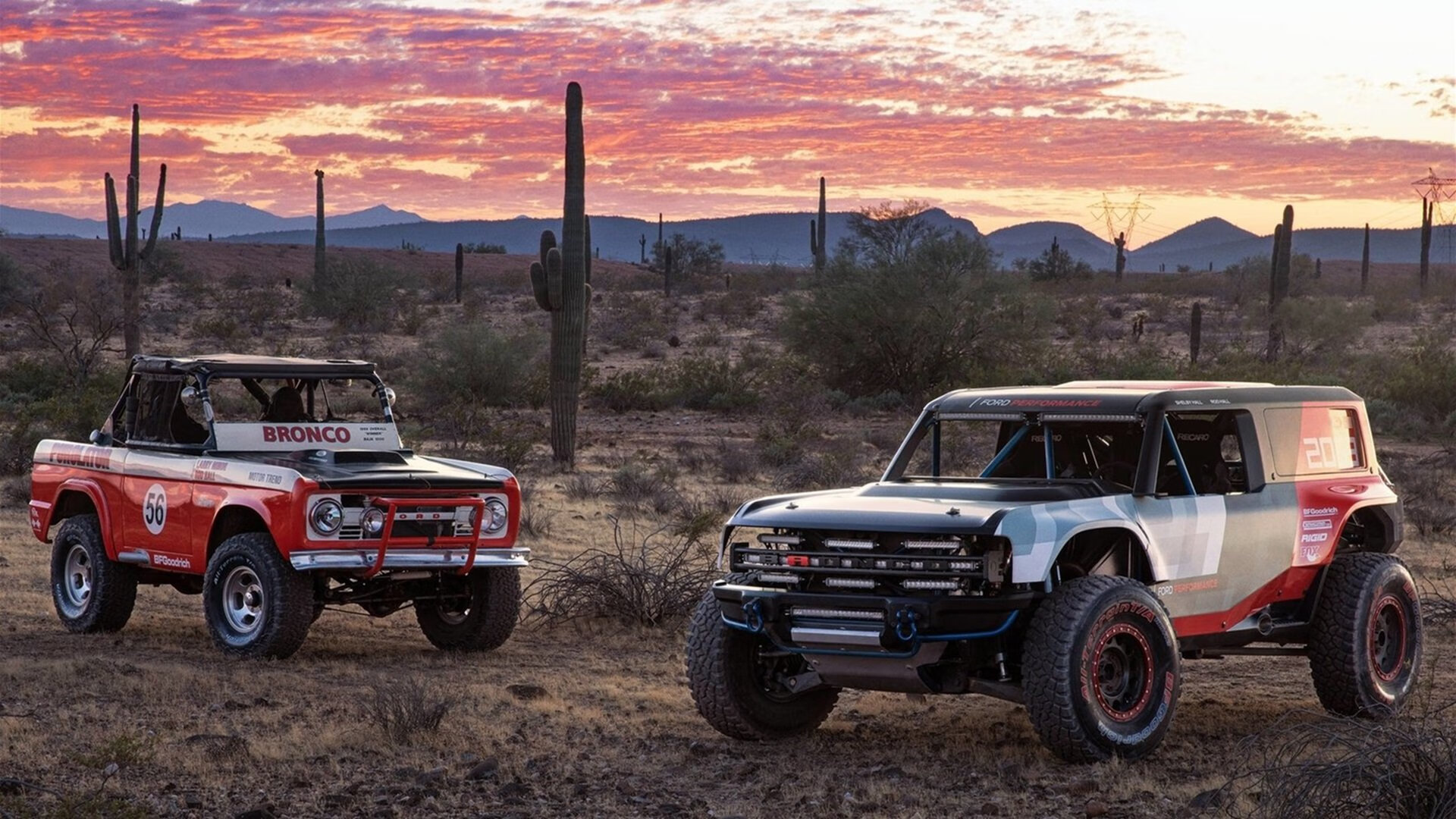 足球青训体系建设加快推进步伐，足球青训怎么运营
