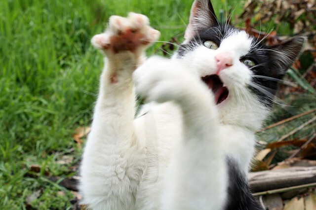 kaiyun开云体育-霍勒迪谈防守轮转中沟通起到决定作用，霍勒迪防守教学