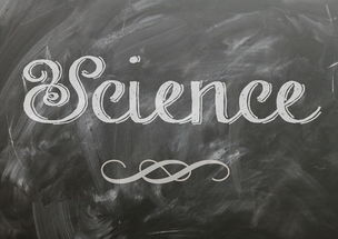 开云体育在线下载-麦考领袖风范：全黑队胜利的灵魂人物，麦考3个总冠军