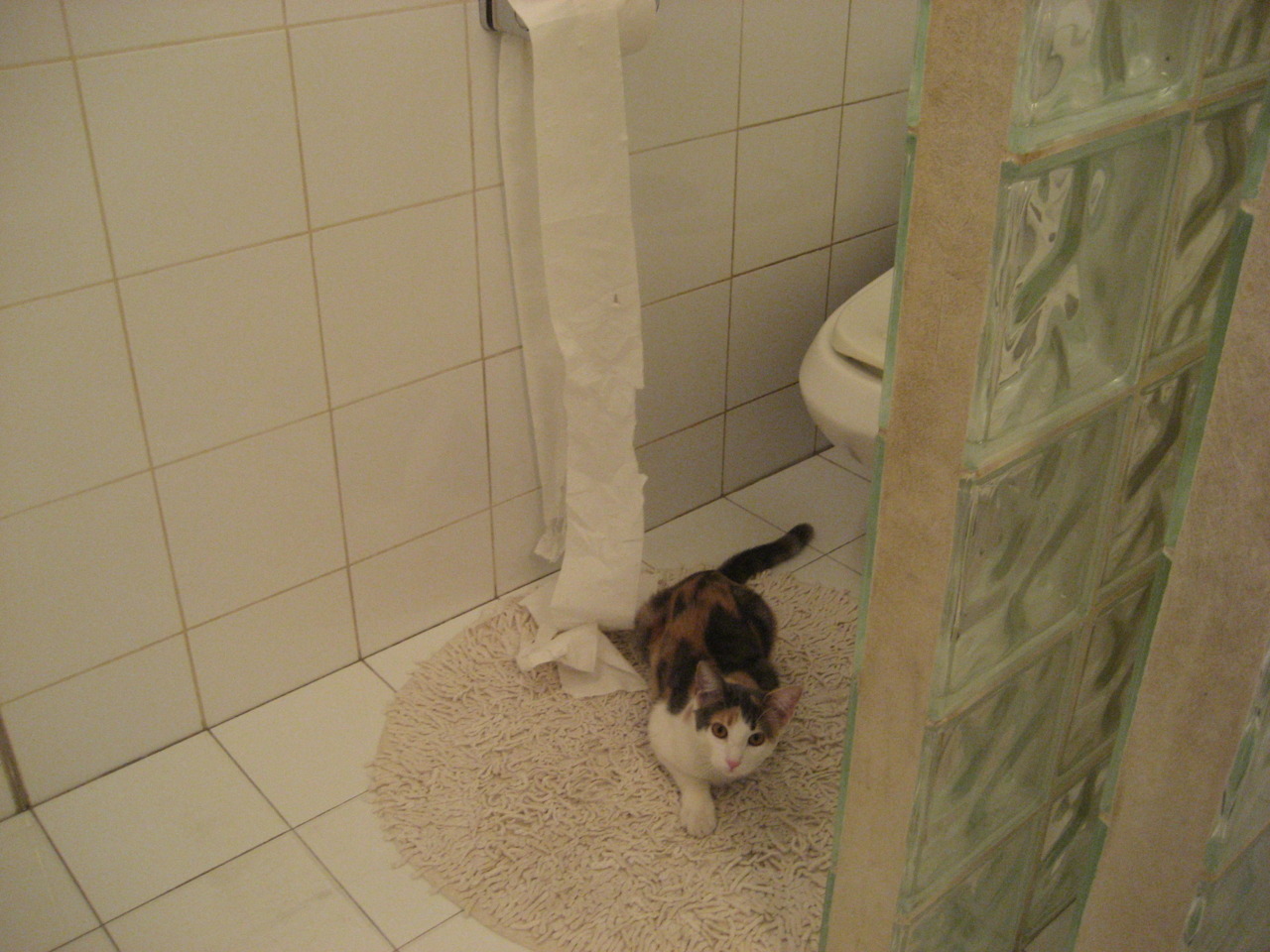 世界运动会让英国腰旗走进更多视野，英国学校运动会