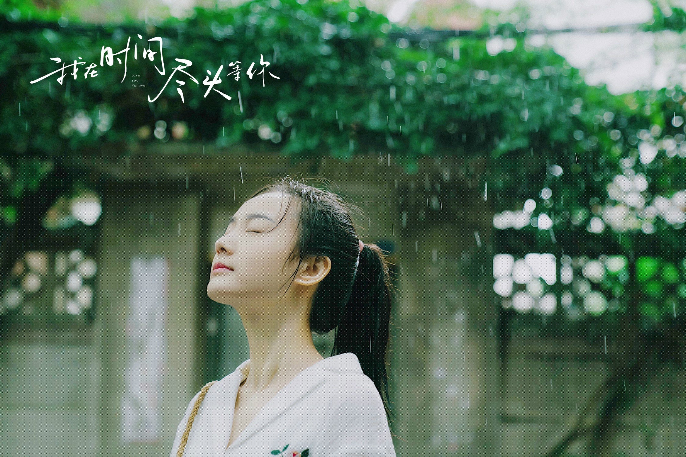 中国篮球在国际大学体育交流中的桥梁作用，中国篮球教育发展现状