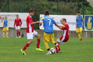 开云体育登录-中国篮球教练职称制度的建立与运行机制，篮球教练员等级划分