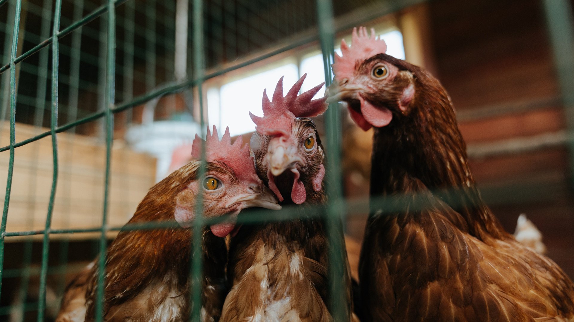 开云体育在线登入-中超联赛球队战绩分析方法，中超联赛怎么看