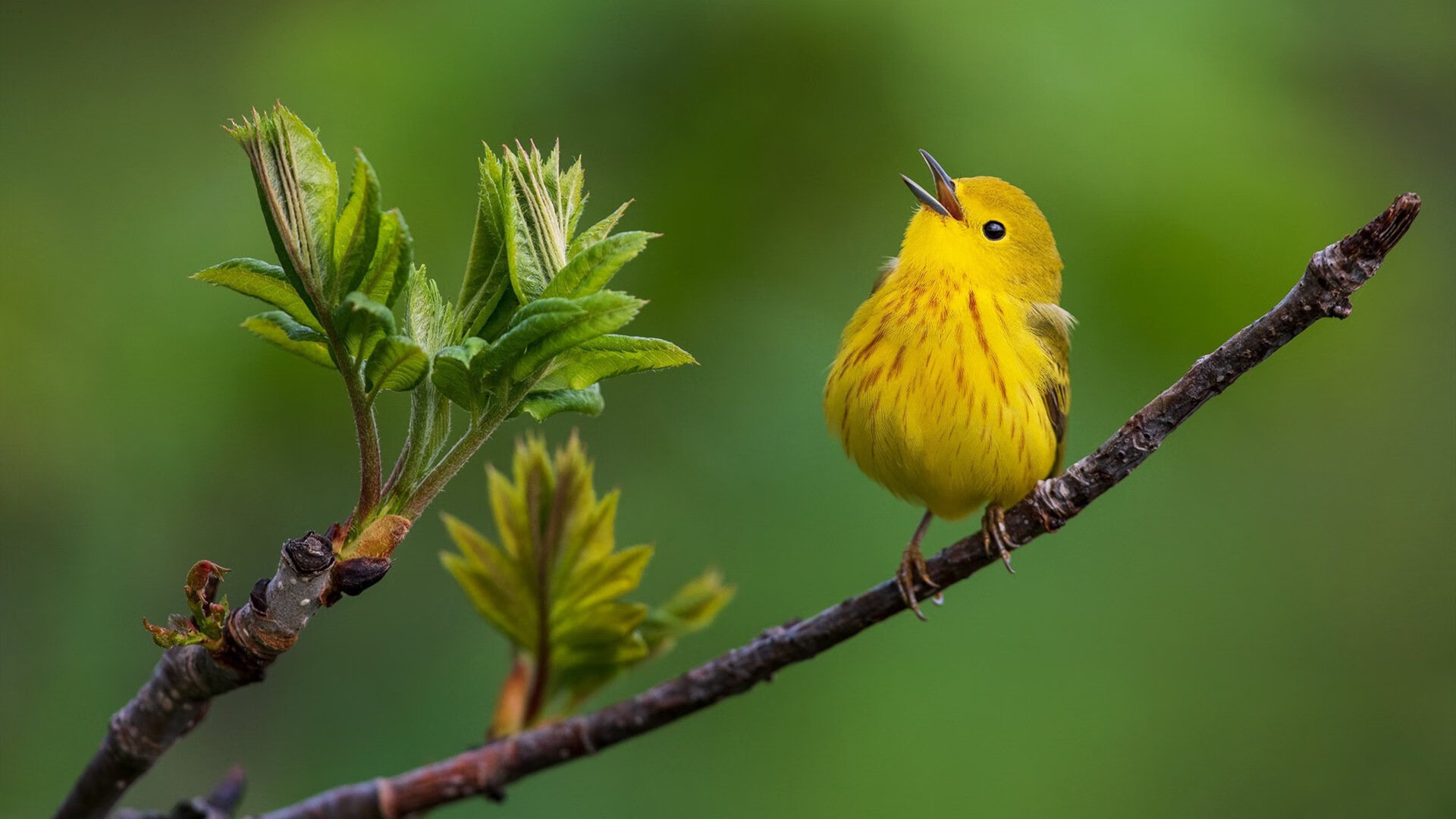 开云体育app注册-体育新闻中心记录全民健身新模式实践案例内容，全民健身体育活动策划
