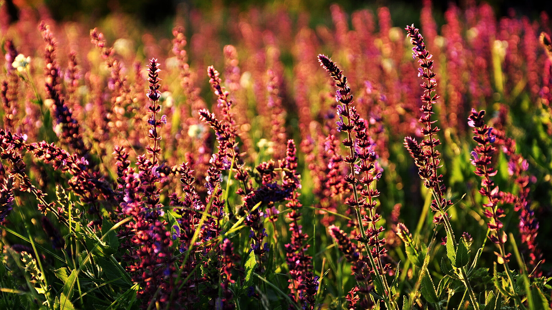 关注冬夏季赛事的全周期新闻发布平台，冬季赛事项目