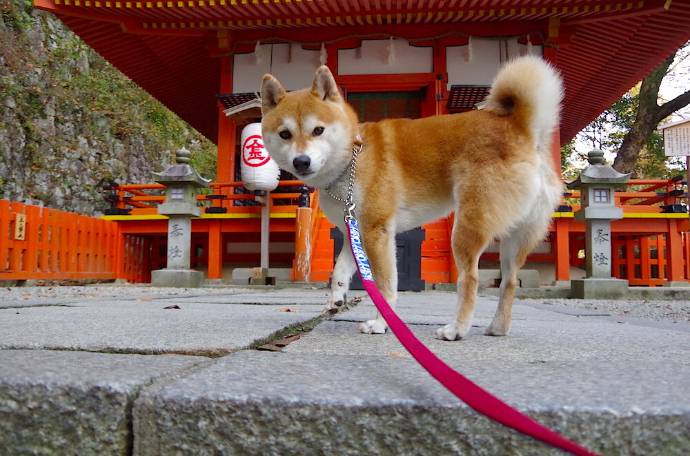 开云在线入口-冠军田方然：多种成功方式，未来无限可能！，田方方个人介绍